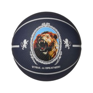 Basketbalová lopta NIKE-LEBRON PLGRD 07 PI/PH/BK/PH