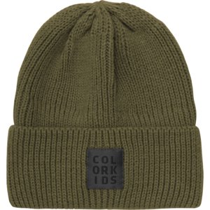 Detská zimná čiapka COLOR KIDS-Beanie - Wool-741907.9501-Grape Leaf