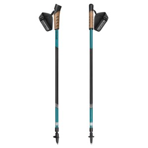 Nordic walking palice SPOKEY-PEAK Nordic Walking Poles, 2-section, blue