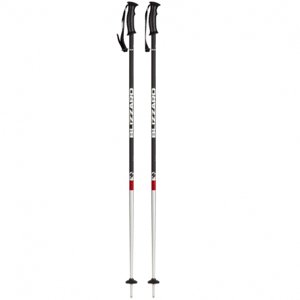 Lyžiarske palice BLIZZARD-Rental ski poles