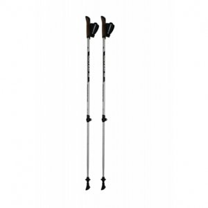 Nordic walking palice BLIZZARD-Alu Performance nordic walking poles, silver/black